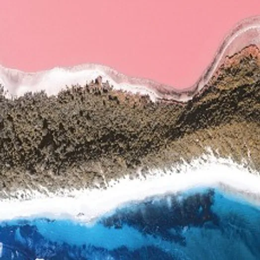 An aerial view of a coastline
